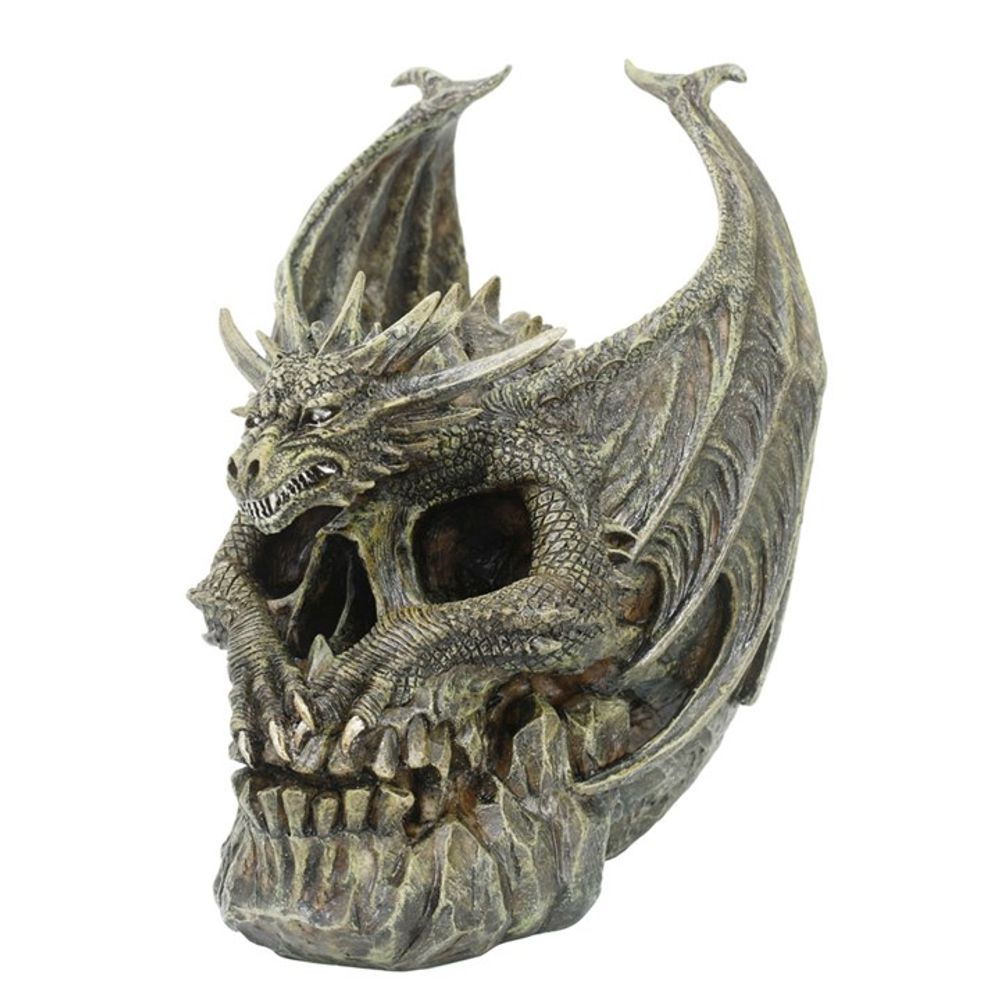 Draco Dragon Skull Ornament by Spiral Direct