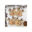 Set of 4 Reindeer Coasters