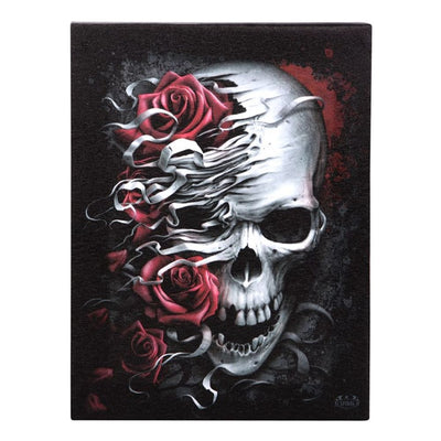 19x25cm Skulls n Roses Canvas Plaque by Spiral Direct