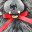 Ted the Impaler Vampire Bear Plush Toy by Spiral Direct