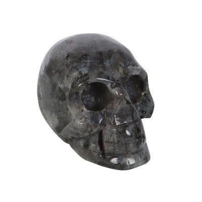 Black Labradorite  Crystal Skull